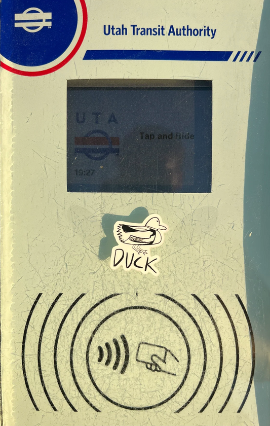 What is Duck?